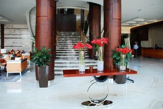 Establish a Hotel in Russia